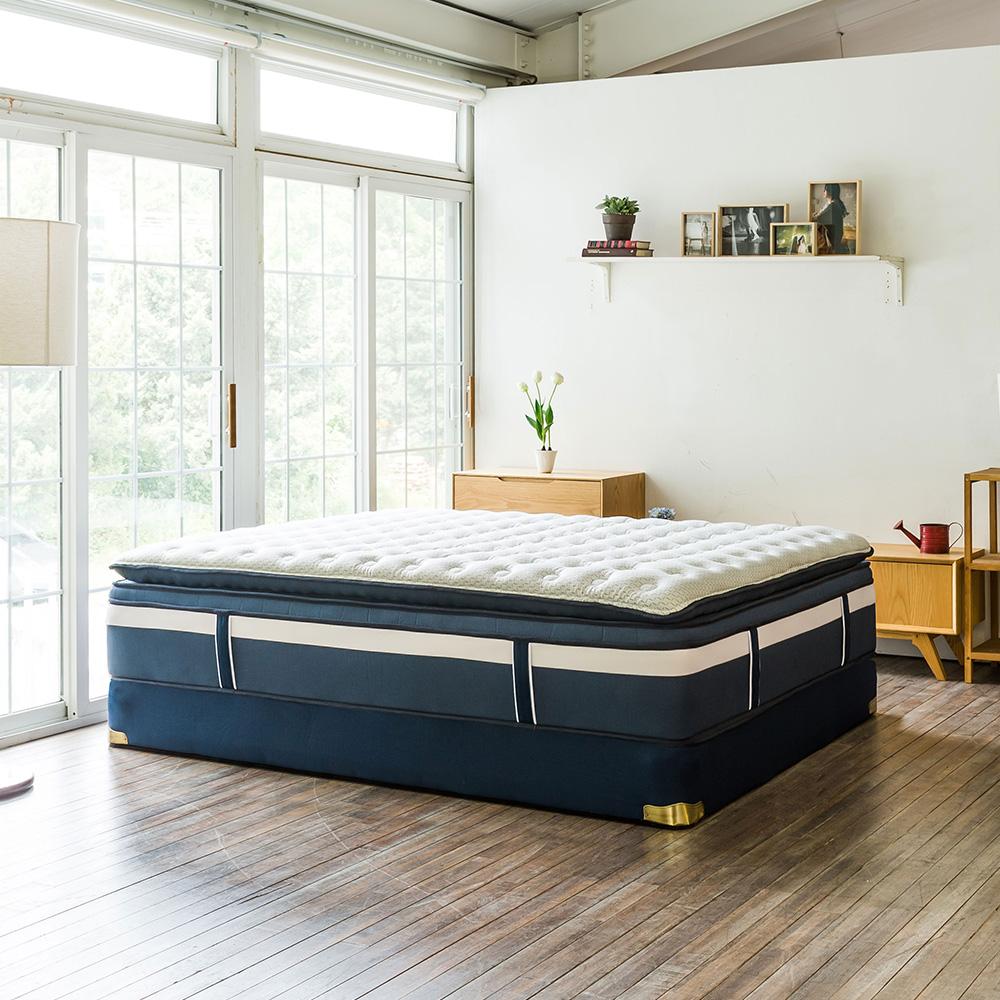 ZS10 Standard - Eden Blue